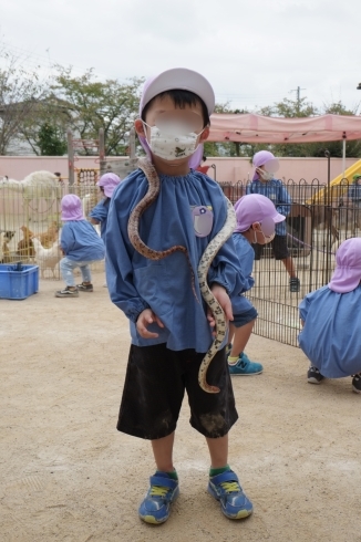 「一日動物園　　親子体操の予約は「空」があります。」