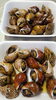 「❇️10/11❇️金曜日❇️本日のお刺身&お惣菜」