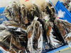 なす　1袋162円「新鮮な野菜が揃っています！」