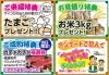 「特典てんこ盛り♬　初夏のリフォーム＆リノベーション大相談会　開催！」