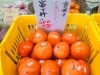 「甘い旬の柿が入荷しています！【お肉・野菜・果物は清武町の黒木商店で♪】」