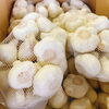 「季節限定の味わい♬ 岩手県産「新にんにく」の出荷が始まりましたよ～！！」