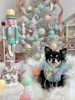 いずるくん「MerryXmas🎄」