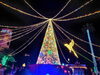巨大クリスマスツリー！「和歌山最大級の光の祭典「フェスタルーチェ」に取材に行ってきました☆」