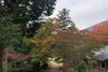 「紅葉が綺麗と有名な成相寺❤️✨ 来週ぐらいが見頃です グラデーションを楽しめるのは今ですね」