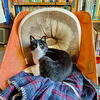 momo「Good morning Otaru」