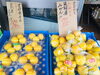 「宮崎の果物といえば日向夏！【野菜・果物は清武の黒木商店で♪】」