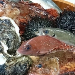 お魚ダイニングhiro南口店