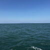 粟島「春の麗の笹川流れ」