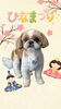 「Dog salon mofu mofu　余市町」