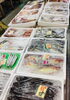 「西海物産館・魚魚市場鮮魚コーナーおすすめは「アマダイ・ノドグロ」です♪」