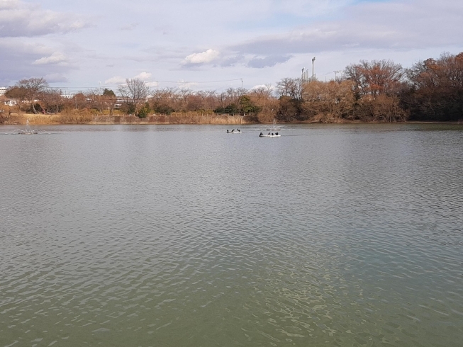 空中散歩「大府市　二ツ池公園」