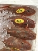 「魚魚市場鮮魚コーナーおすすめは「キッコリ」です♪」