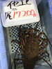 「魚魚市場鮮魚コーナーおすすめは「伊勢エビ」です♪」