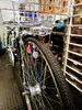 点灯虫(オートライト)「🚲通学自転車情報2026⑤【自転車販売・修理のIZUMO BICYCLES】」