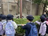 「卒園遠足」