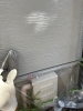 外壁塗装　上塗り「作新建装　今週の施工」