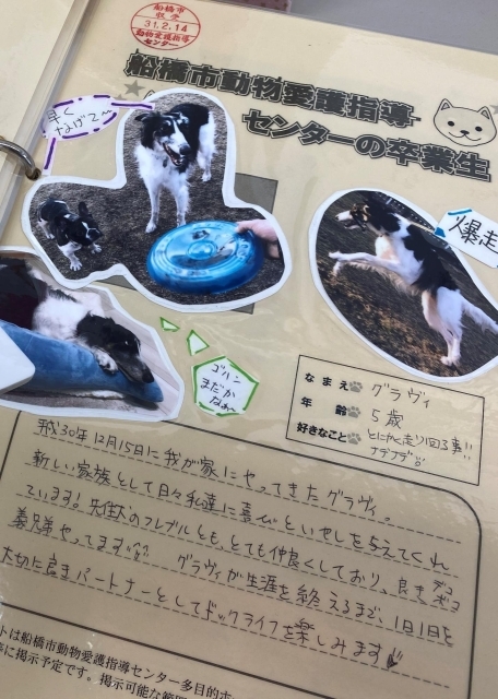 船橋市動物愛護指導センターで 人間と動物の共生を目指す人たちに出会えました 編集部のつぶやき 千葉 船橋 市川 習志野 まいぷれ 船橋市 船橋市動物愛護指導センターで 人間と動物の共生を目指す人たちに出会えました 編集部のつぶやき 千葉 船橋 市川 習志野 まいぷれ 船橋市