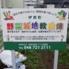 第13回アグリチャンネル「再び野菜栽培教室に潜入してみた！」