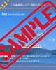 「UMIZETSU SAUNA 1周年記念｜感謝を込めた特別イベント開催！」