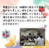「ハピママ♡クラス　初回　産科婦人科山口病院」