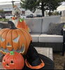 ハロウィン「苫小牧dogrun KENKENハロウィンイベント」