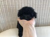 「お迎え&予約状況　(*^-^*)」