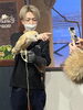 イクラの接客風景です、珍しいね「2022年メンフクロウの産卵は遅れ気味」