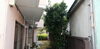 剪定施工前「庭木の剪定•伐採•草刈（八王子）施工事例」