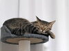「おはようございます🐱　買取のべおか　高価買取」