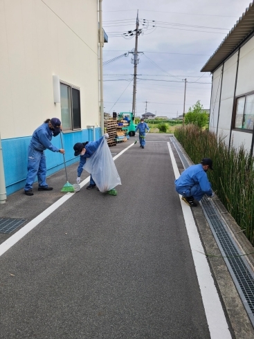 「会社周辺の清掃活動」