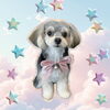 「Dog salon mofu mofu　余市町」