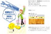 「2020/06/26　枚方市長尾家具町★　ブリード株式会社 のご紹介」