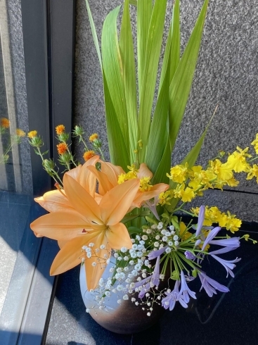 暑いですが、お花を見ると気持ちが涼しくなります「上生菓子「七夕」涼しげです」