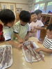 「八女市で保育園をお探しの保護者様へ　生き物触れ合い体験🦑🐟」