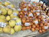 「魚魚市場鮮魚コーナーおすすめは「クロ」です♪」