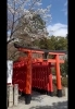 「多田の市✖︎源氏フェスタ」