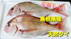 「○本日のお刺身○【定置もん！】島根県産サワラ、天然タイ」