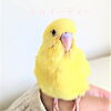 我が家の新しい家族です☆