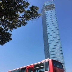 C-bus千葉市内循環バス