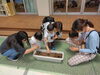 1歳児さん、朝顔の種を植えています「あかね幼稚園親子教室再開しました」