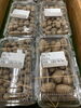 ムカゴ「入荷情報！！」