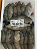 カワハギ「本日鮮魚入荷致しました」