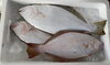 「ハラコ販売中でーす‼️鮮魚パックいろいろ販売中‼️〆鯖も販売致します🐳」