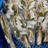 「しめ縄・鯛など正月飾りの販売が始まりました！」