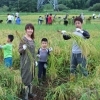 【(株)野田自然共生ファーム】江川地区水田型市民農園　ファミリー型参加券