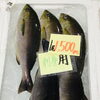 「魚魚市場鮮魚コーナーおすすめ商品は「シマアジ・クロ」です♪」