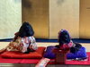 「【ワンちゃん七五三】かわいすぎる記念日をお寺で。着物無料レンタルあり｜観音寺のペット祈願」
