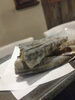 メヒカリの唐揚げ「メヒカリ」