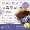 「梅雨の不調は「怠け」ではなく季節のサインかもしれません」